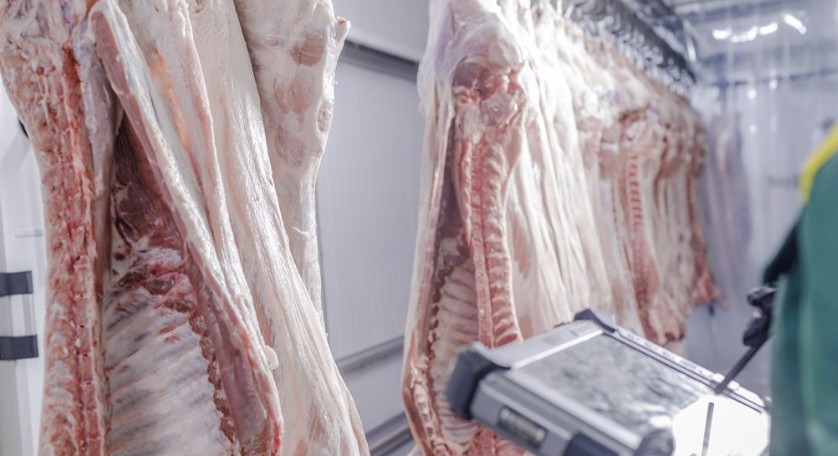 云链移动智慧屠宰冷链单元